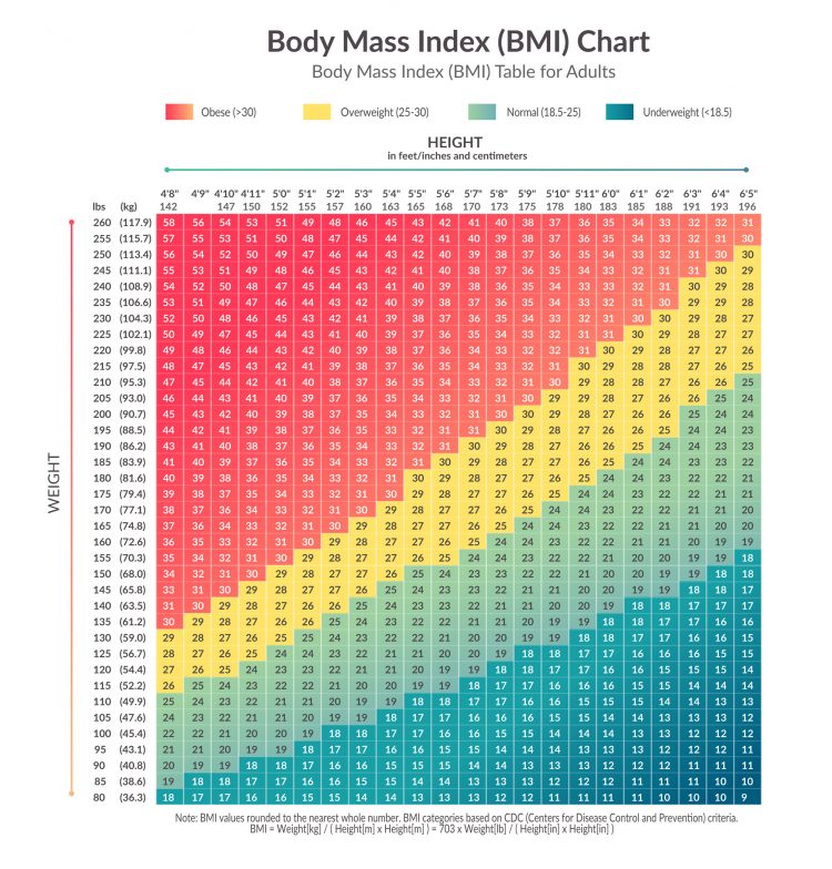 BMI Chart for Adults