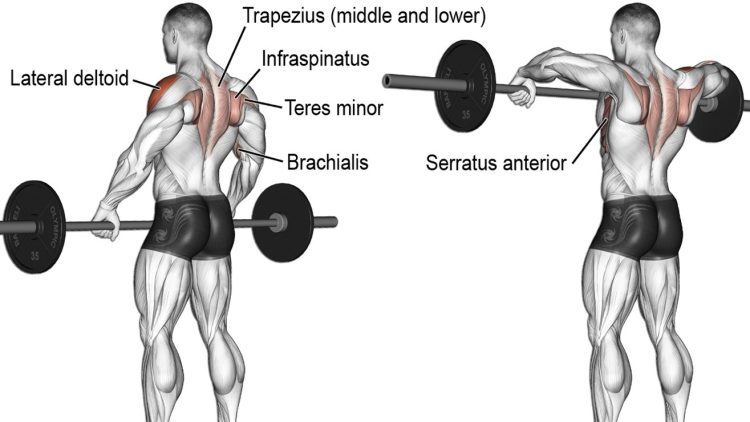 Upright barbell row