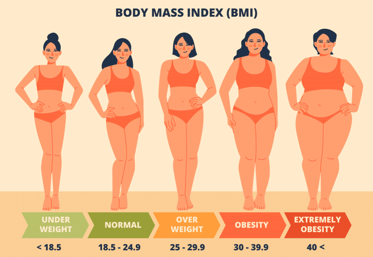 BMI Infographic