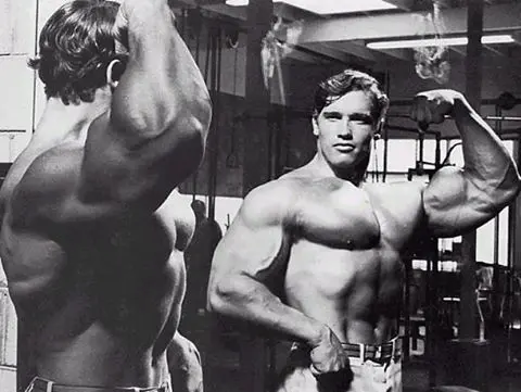 Arnold in Mirror