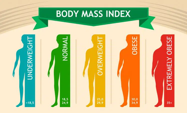 Body Mass Index Infographic