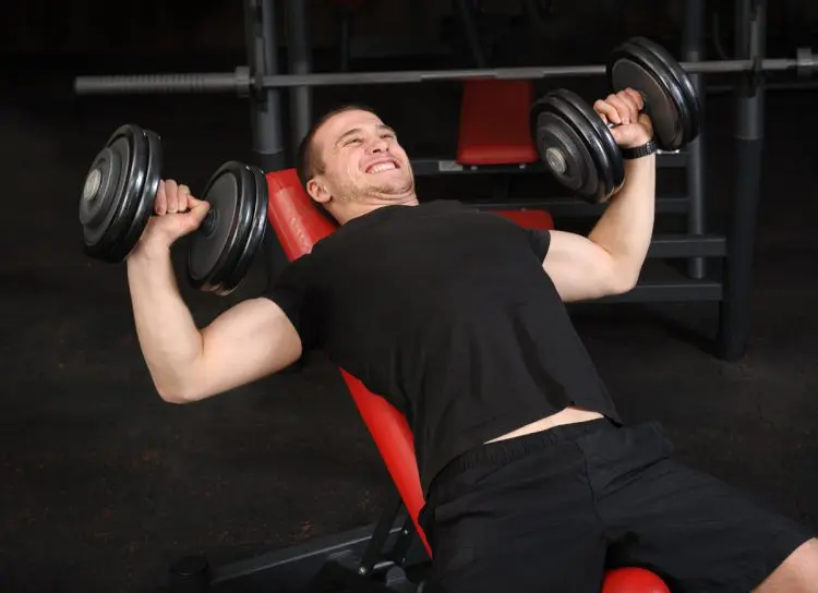 Dumbbell Incline Bench Press