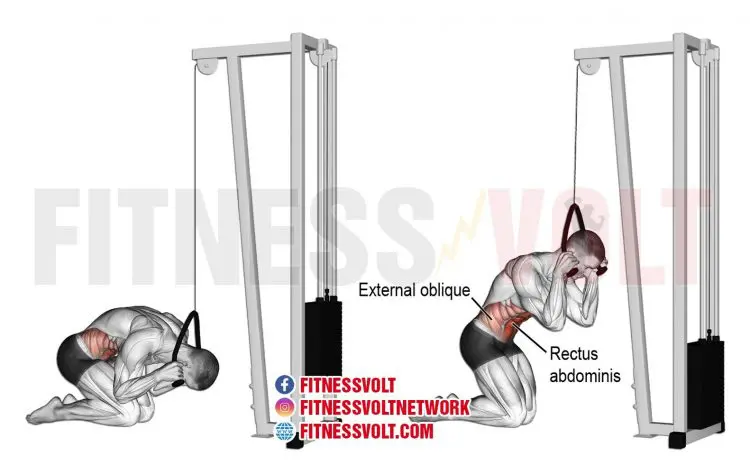 Kneeling Cable Crunch