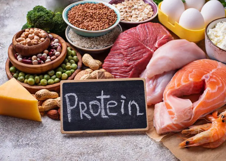 Protein Intake